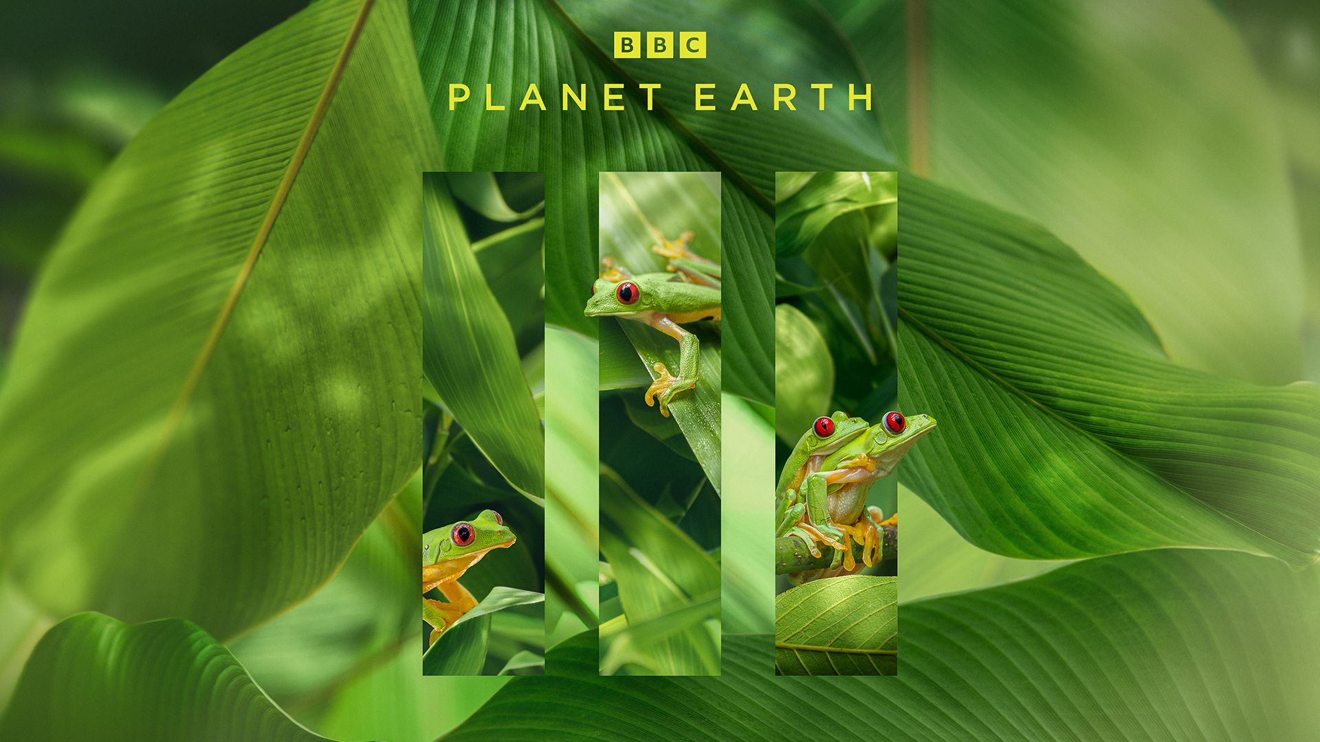 BBC Studios Creative