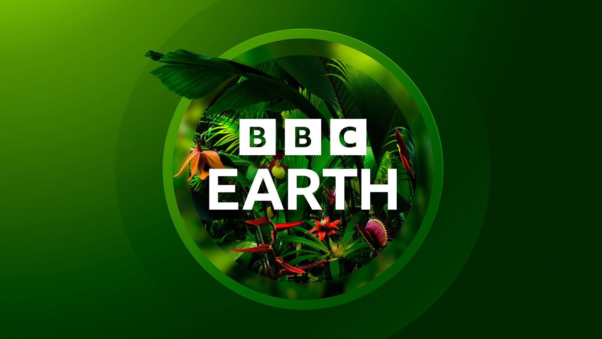 BBC Studios Creative